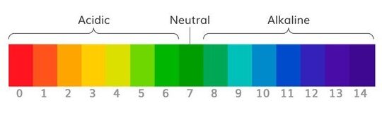 1360_F_177246479_iIj0r14fWVAo3HQjIkE1a2edqVLgqsWO